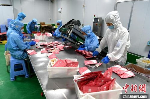 臺商看好 新基建 電商 機遇 會持續在大陸發展